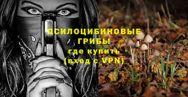ПСИЛОЦИБИНОВЫЕ ГРИБЫ Остров