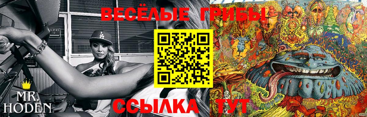 Галлюциногенные грибы Psilocybine cubensis  Вход с VPN  Краснотурьинск 