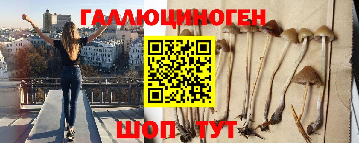 Псилоцибиновые грибы GOLDEN TEACHER Краснотурьинск